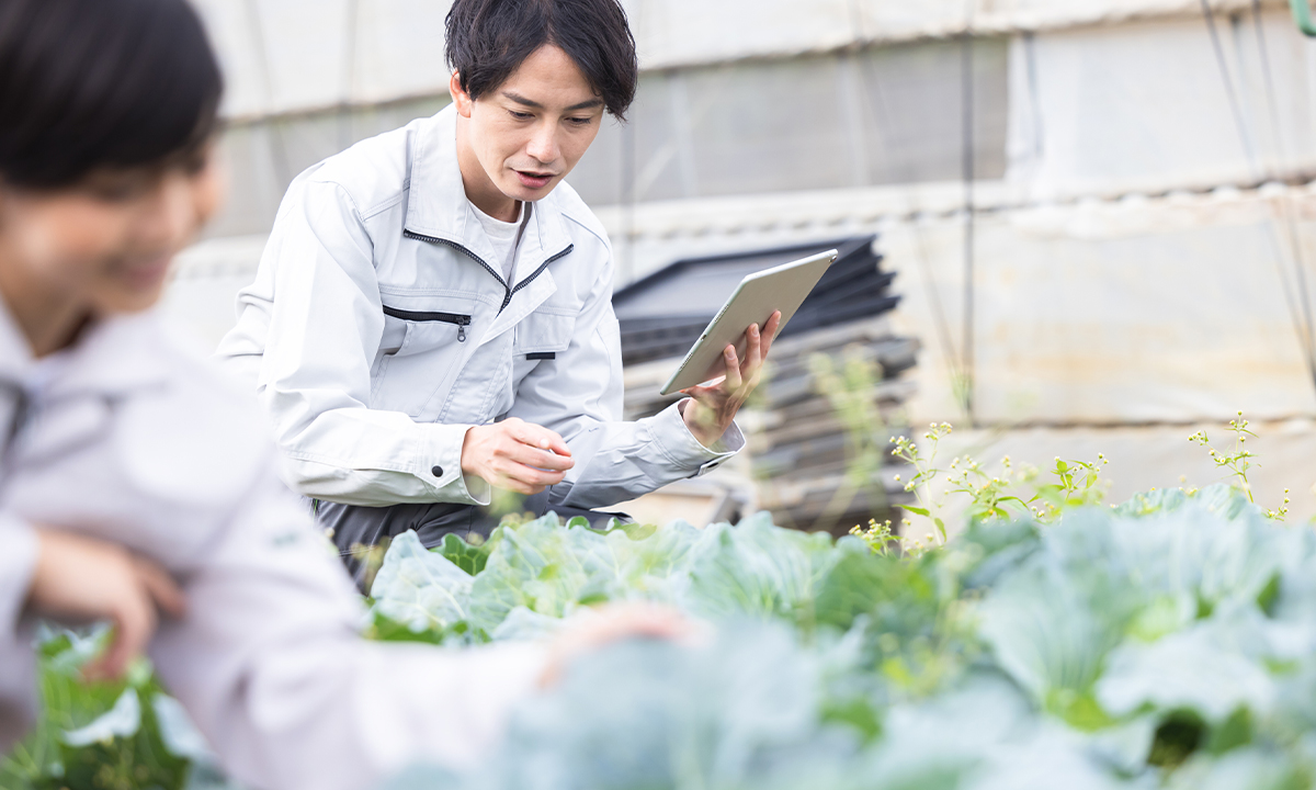 泉屋商店のこだわり